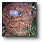 DSCN2081.JPG
