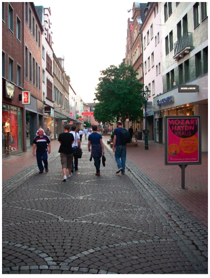 DSCN8162.JPG