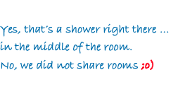 Yes, that&rsquo;s a shower right there ... in the middle of the room.