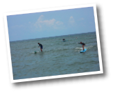DSCN7783.jpg