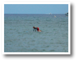 DSCN7782.jpg