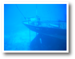 DSCN7864.jpg