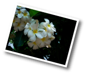 DSCN8039.jpg
