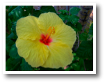 DSCN8032.jpg